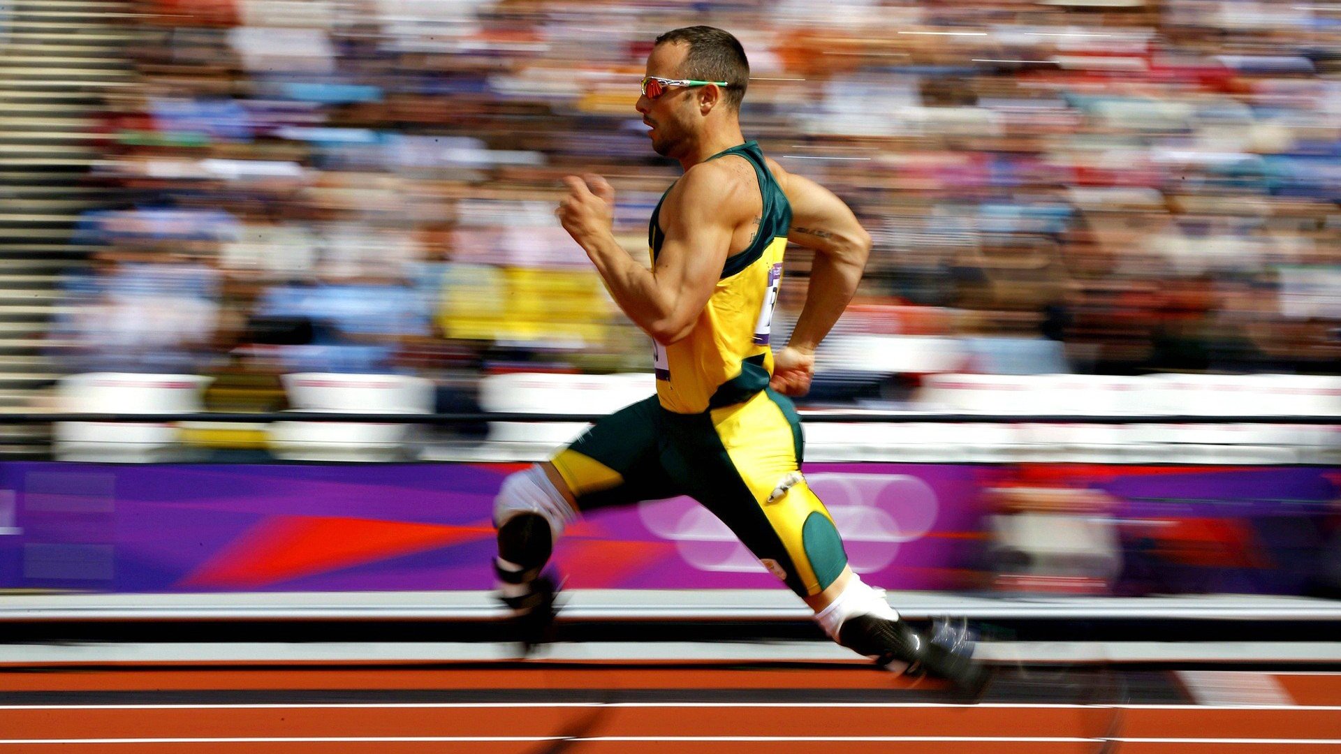 赛场追踪:每一圈背后的风云变幻,赛场逐鹿是什么意思